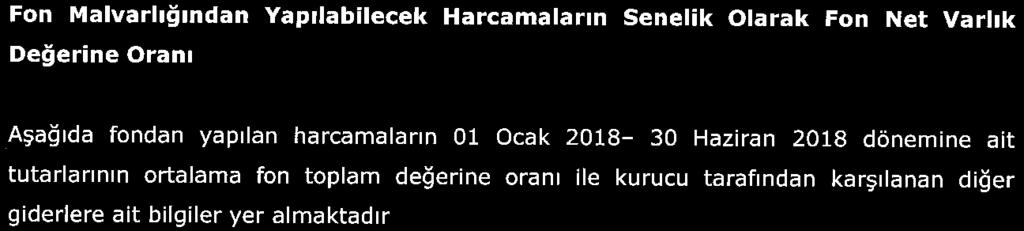 toplam değerine oranı ile kurucu tarafindan karşılanan diğer giderlere ait bilgiler yer almaktadır 01.01. 2018-30. 06.