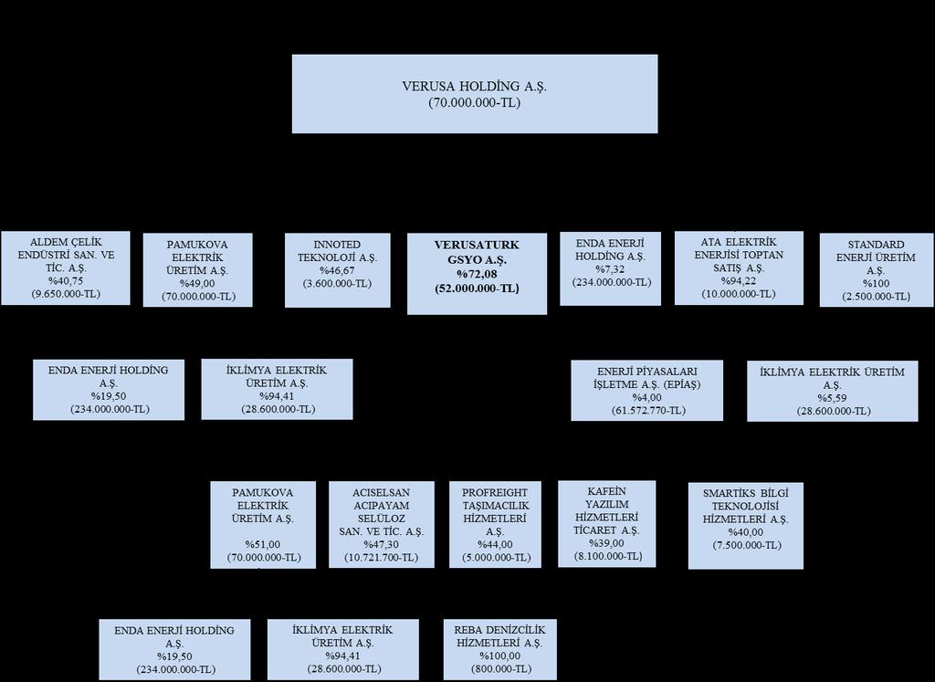 i) Şirket in Dâhil Olduğu Gruba İlişkin Bilgiler Verusaturk un hâkim ortağı Verusa Holding A.Ş. dir.