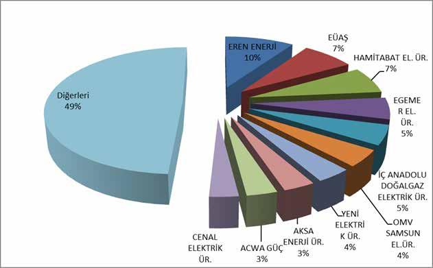 Miktarlarının Şirket Bazında Dağılımı ve İlk 10 Şirketin Payı