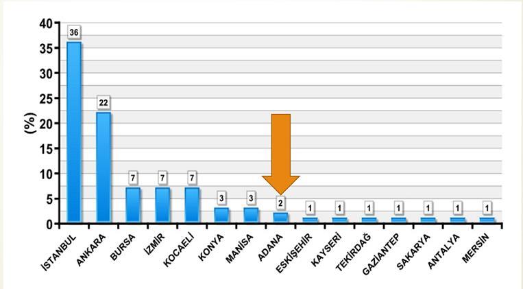 1995-2017Yılları Arasında Proje