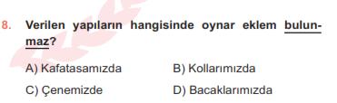 Verilen bilgilerden hangileri mitokondriye aittir? 4. A) Yalnız II. B) I ve II. C) II ve III. D) I, II ve III.