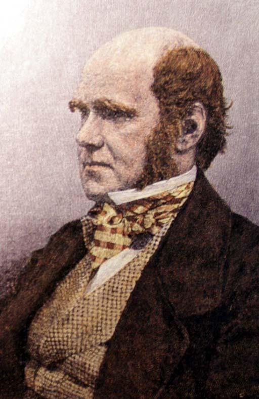 İşlevselcilik: Doğal Seçilim ve Evrim Charles Darwin Darwin doğal seçilim (natural selection) ve evrime (evolution) ilişkin ilkeleri formüle etti.