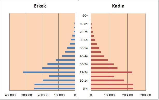 2011 yılından 2018 yılına kadar Türkiye topraklarında bulunan Suriyelilerin nüfus piramidine baktığımızda sığınmacıların demografik yapısı hakkında önemli bilgiler vermektedir.