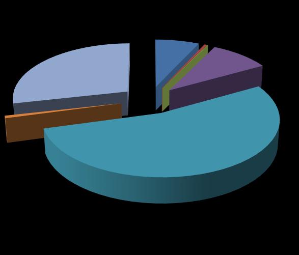 Tablo 4: 2017 Yılı Sermaye Giderleri Bütçesi ve Ocak-Aralık Dönemi Gerçekleşmeleri 2017 YILI (06) SERMAYE GİDERLERİ SERMAYE GİDERLERİ İLK SON GERÇ/ ORANI TOPLAM GERÇ.