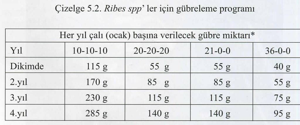 : Siyah frenk üzümleri gübrelemeye özellikle azot ve ahır gübresine daha fazla ihtiyaç duyar. Ahır gübresi 2.