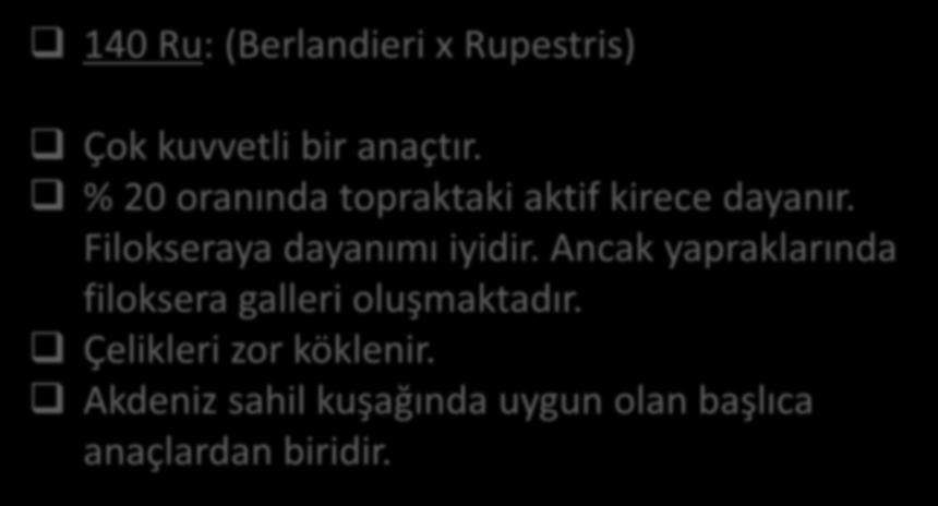 140 Ru: (Berlandieri x Rupestris) Çok kuvvetli bir anaçtır. % 20 oranında topraktaki aktif kirece dayanır. Filokseraya dayanımı iyidir.