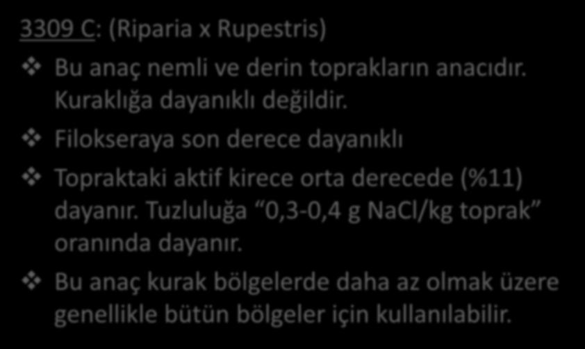 RİPARİA X RUPESTRİS MELEZLERİ 3309 C: (Riparia x Rupestris) Bu anaç nemli ve derin toprakların anacıdır. Kuraklığa dayanıklı değildir.