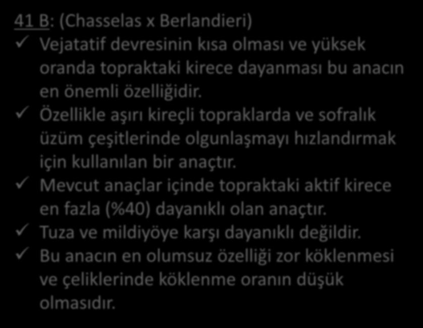 Vinifera x Amerikan Melezleri 41 B: (Chasselas x Berlandieri) Vejatatif devresinin kısa olması ve yüksek oranda topraktaki kirece dayanması bu anacın en önemli özelliğidir.