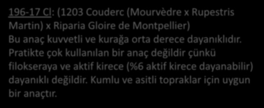 Bazı türlerin doğal seleksiyonlarından veya bunların değişik melezlerinden elde edilen anaçlar 196-17 Cl: (1203 Couderc (Mourvèdre x Rupestris