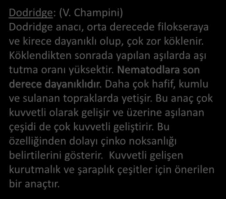 Dodridge: (V. Champini) Dodridge anacı, orta derecede filokseraya ve kirece dayanıklı olup, çok zor köklenir. Köklendikten sonrada yapılan aşılarda aşı tutma oranı yüksektir.