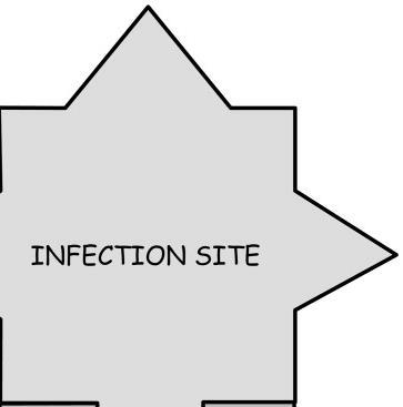 İlaç etkileşimleri infeksiyon Klinik