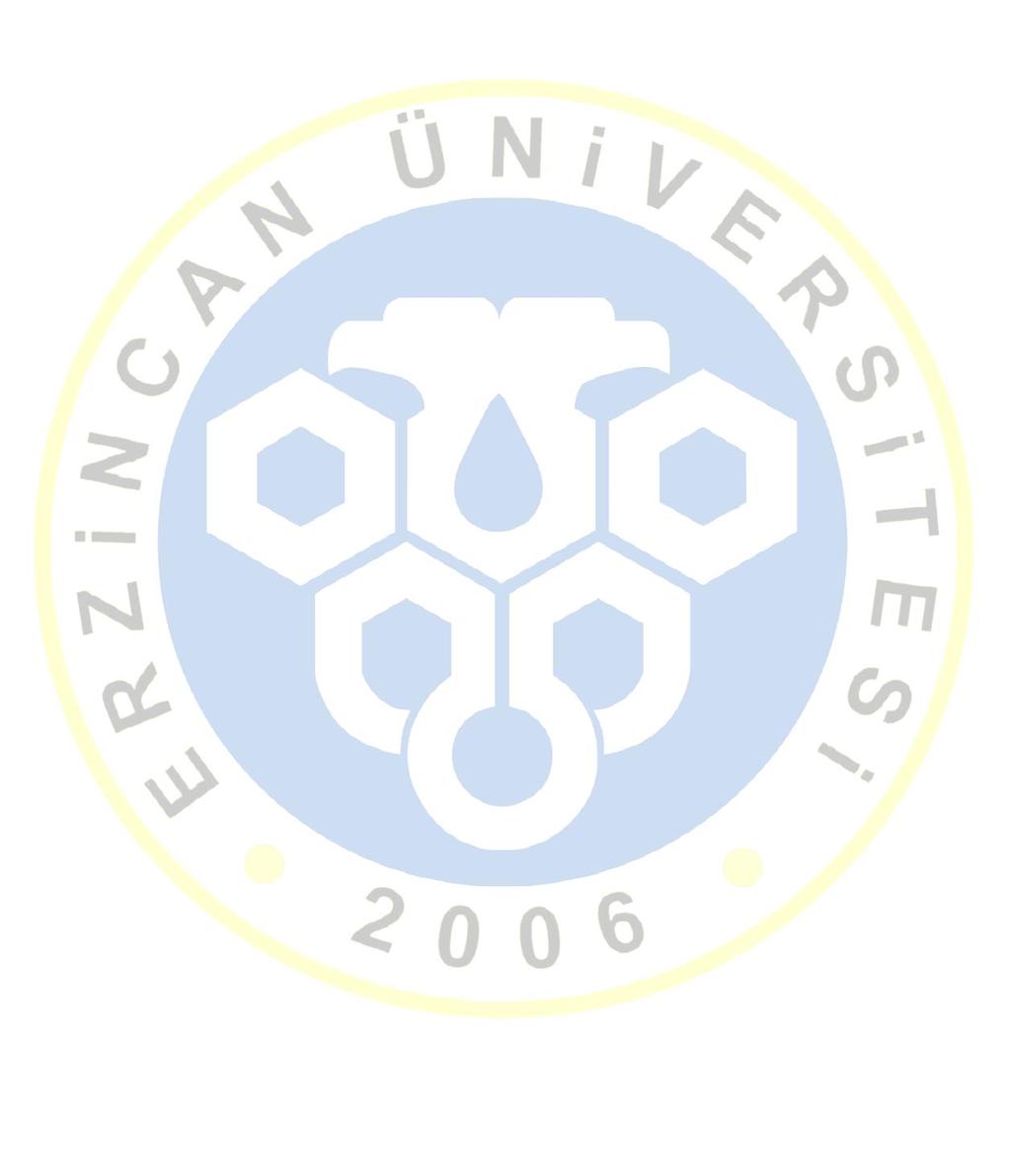 KPSS BAŞVURU KILAVUZU Erzincan Binali Yıldırım Üniversitesi Kamu