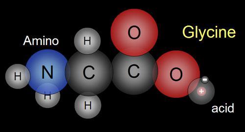 Glycine