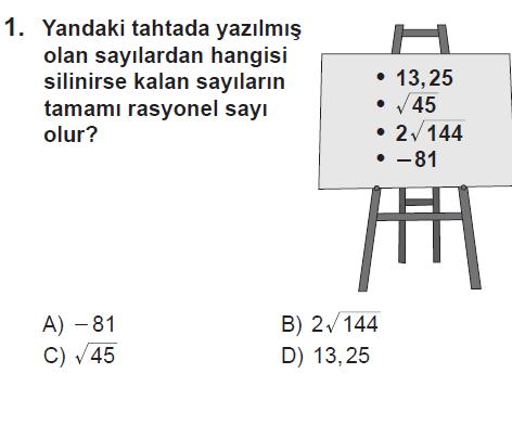 SBS 2009 Başarı