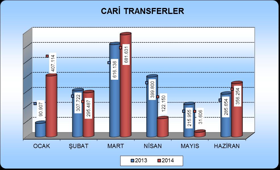 2014 yılının ilk altı ayında 23.888.156,25 TL olarak gerçekleşen mal ve hizmet alım giderleri içerisinde en önemli payı 13.421.349,00 TL ile Hizmet Alımları kalemi almıştır. Bu gider kalemini 7.122.