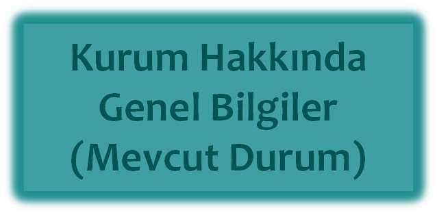 KURUMSAL DIŞ DEĞERLENDİRME