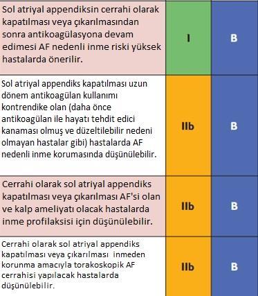 gerçekleştirmede en iyi cerrahi tekniğin