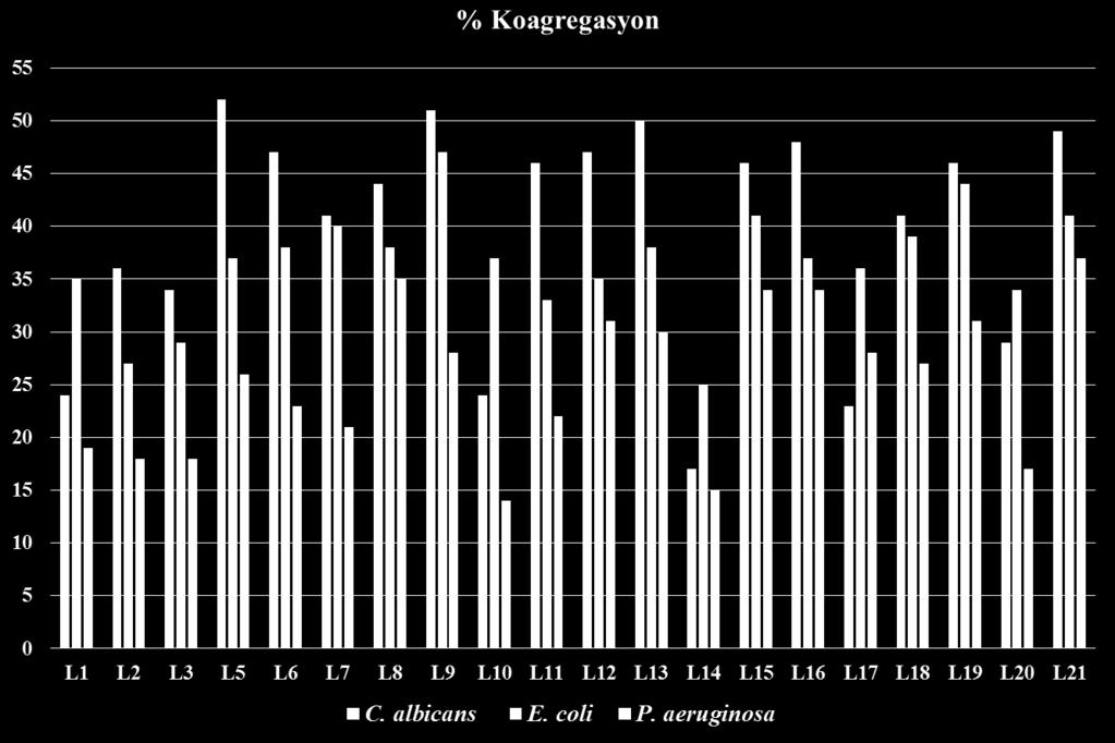 Şekil 4.17. Vajinal LAB nin 4. saatin sonundaki % koagregasyon oranlarının grafik üzerindeki görünümü Vajinal LAB nin otoagregasyon kapasitelerinin araştırıldığı çalışmalar dikkate alındığında L.