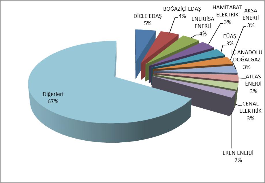 Miktarlarının Şirket Bazında Dağılımı ve İlk 10 Şirketin Payı