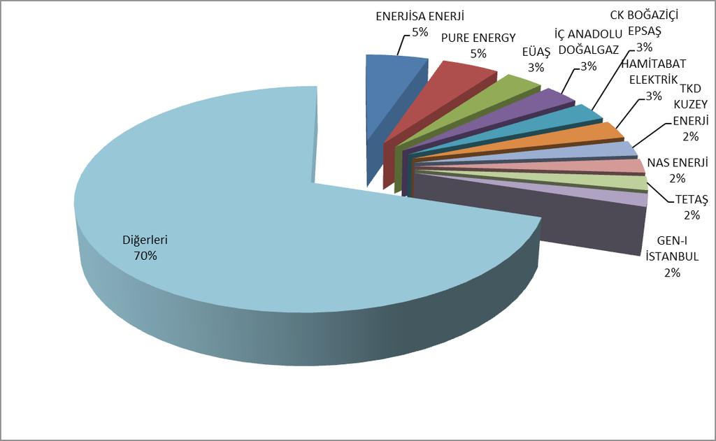 Miktarlarının Şirket Bazında Dağılımı ve İlk 10 Şirketin Payı