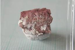 TAŞ TİPLERİ Whewellite