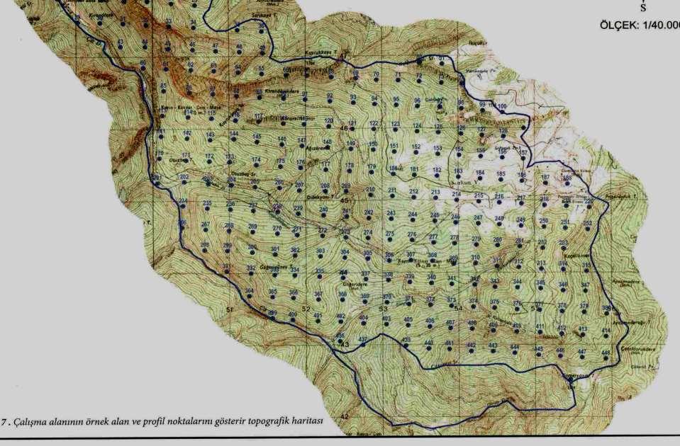 Etüt amaçlı çalışma yapılacak alanda örnek alanların (profillerin) Alınacağı