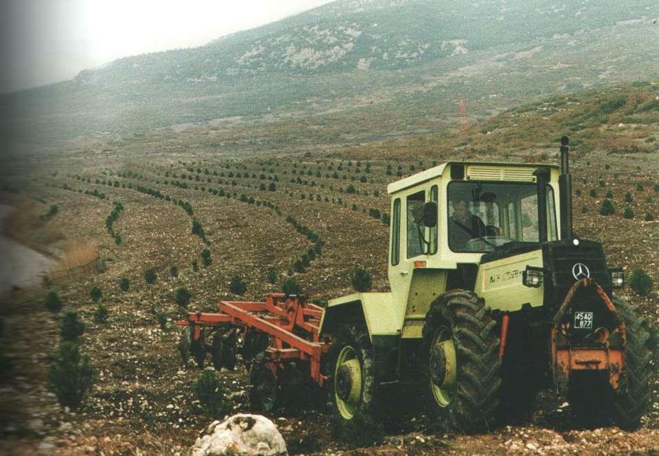 Dikim yapılan alanlarda