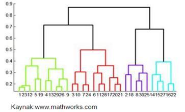 Hiyerarşik kümeleme yönteminde kümelerin grafiksel olarak ifade