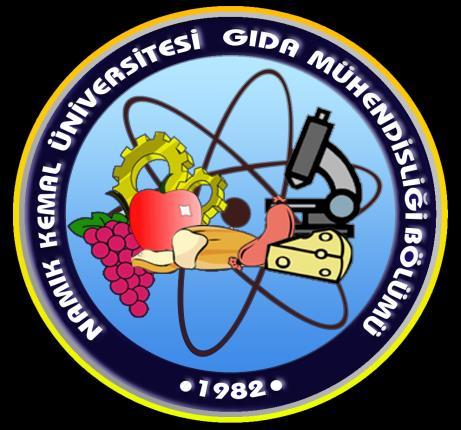 İNTÖRN MÜHENDİSLİK PROGRAMI