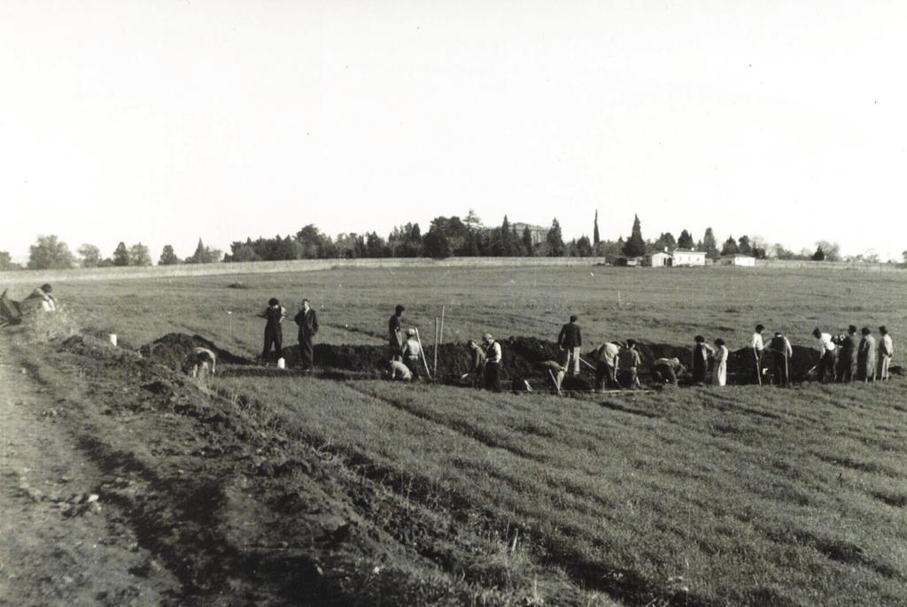 Necmi Karul Foto.