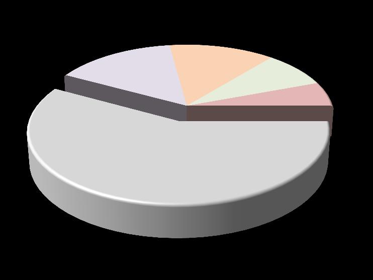 Yolcu Dağılımı DıĢtan DıĢa Transfer Yolcu ( 000) DıĢ Hat Yolcu Bölgesel Dağılım 11,615 Orta Doğu 15% Uzak Doğu 13% Afrika 8% 8,991 28% 6,665 Amerika 6% 4,445 5,147 6,249 5,192 Avrupa 58% 2009 2010