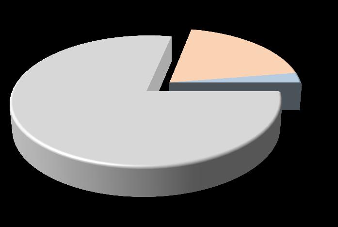 Orta Doğu; 15% Amerika; 10% Yolcu 88% Charter