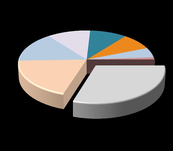 Business; 19% Comfort; 3% İç Hat: %52 Dış Hat: