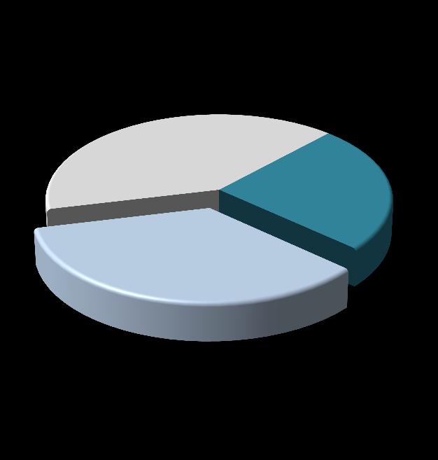 Borç Yönetimi ve Uçak Finansmanı 30.06.