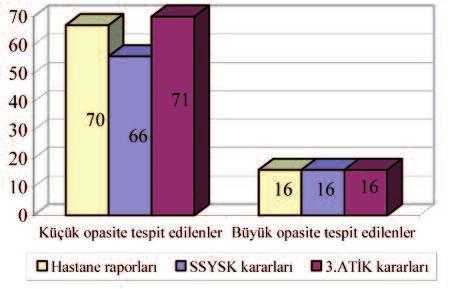 Onaltı dosyada büyük opasite ile küçük opasitenin birlikte olduğu radyolojik bulgular tespit edilmiştir. Bir dosya hariç hastane raporları, SSYSK ve 3.