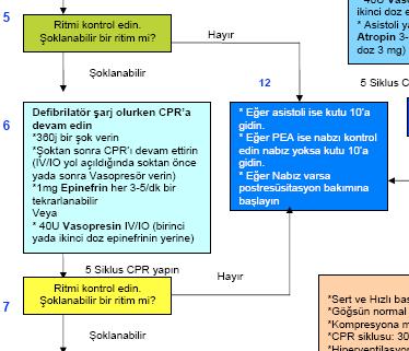 Ventriküler Fibrilasyon /