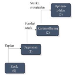 STRATEJ K YÖNET 3,0 0,9 1,7 2,0 1,0 0,0 0,9 1,2 0,7 1,1 0,7 M 1,0 1,3 1,00 1,0 YAZILIM YA AM DÖNGÜSÜ ORGAN ZASYON YAZILIM H ZMETLER olmak üzere 7 ana başlık altında değerlendirilmiştir.