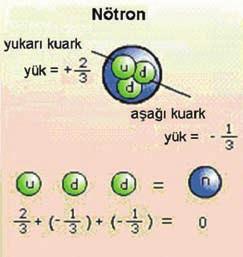 Proton ve nötronun da, kuark denilen alt çeflit temel parçac n iki türünün üçlülerinden oluflan, farkl birer iç yap s var.