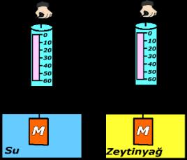 11. Cisim d (yoğunluk) gr/cm 3 m (kütle) gr V(hacim) Cm 3 F 5 10 E 2 40 N 0,5 16 Yukarıda verilen tabloya göre aşağıdaki ifadelerden