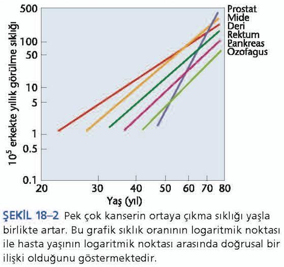 Üçüncü kanıt: karsinojenlere (kansere yol açan ajanlar) maruz kalma ve kanserin ortaya çıkışı arasındaki gecikmedir.