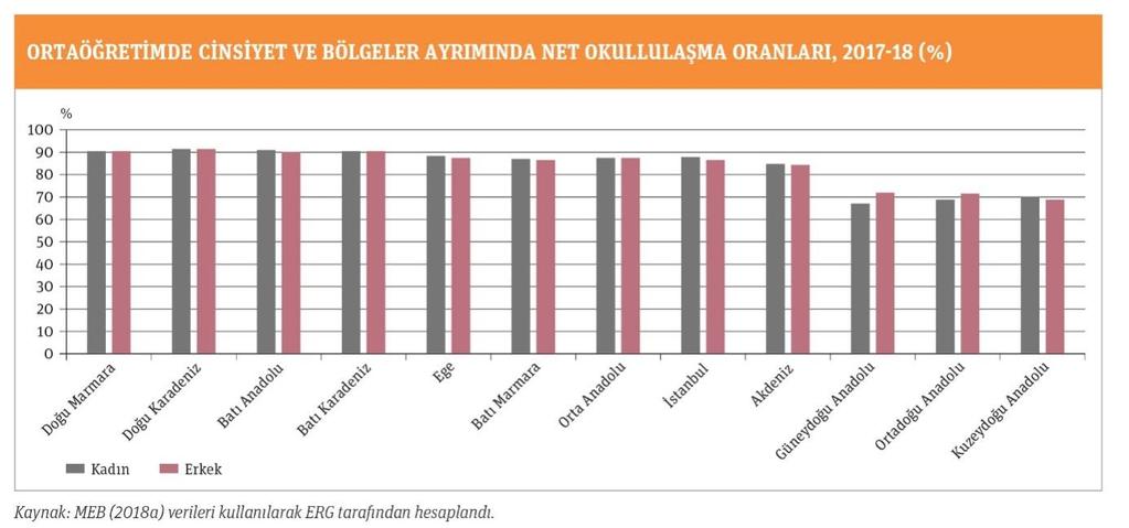 Bölgesel, cinsel, sınıfsal vb.