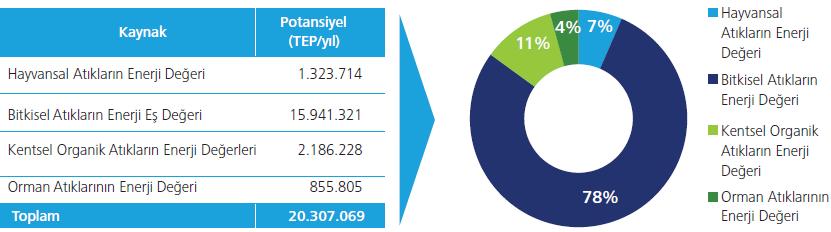 biriketleme) ve dönüşüm süreçleri (biyokimyasal ve termokimyasal süreçler) ile pek çok sıvı, katı veya gaz biyoyakıt elde edilmektedir (Karaosmanoğlu 20