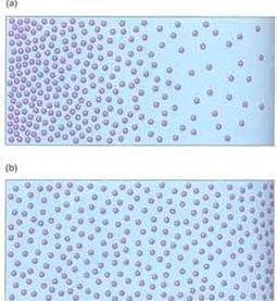 Difüzyon Ortamın herhangi bir bölgesinde moleküllerin konsantrasyonu daha fazla ise, moleküller konsantrasyonun daha az olduğu