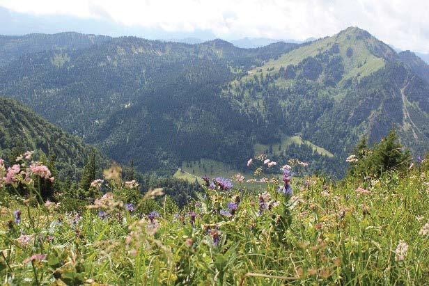 geçemeyeceğim Antalya Kemer Musa dağındaki teleferikten de izlenen inanılmaz manzaralar buralardan hiç geri kalmaz.