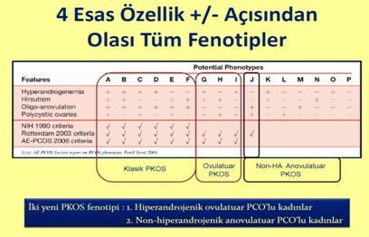 2.1.4. PKOS FENOTİPLERİ Yukarıda detaylıca tarif edilen yeni üç tanı kriteri ise beraberinde ek problemler getirmiştir.