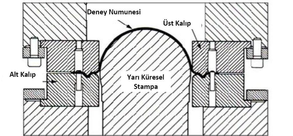 49 Nakazima deneyi ekil 3.