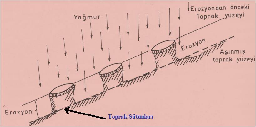 toprak ise taşındığı için, belli bir süre sonra tepesinde birer şapka gibi duran şişe kapaklarının yer aldığı toprak