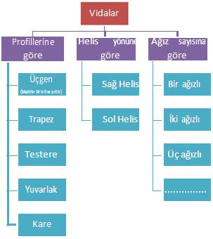 Vidalar, karakteristik özelliklerine,