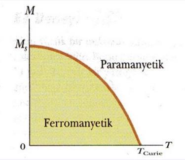 Paramanyetik (Artı Duyarlı Mıknatıslık ) M=C*B0/T B0 = 0 olduğunda mıknatıslanma sıfırdır; bu durum dipol momentlerin rastgele yönelmiş olmalarına karşılık gelir.