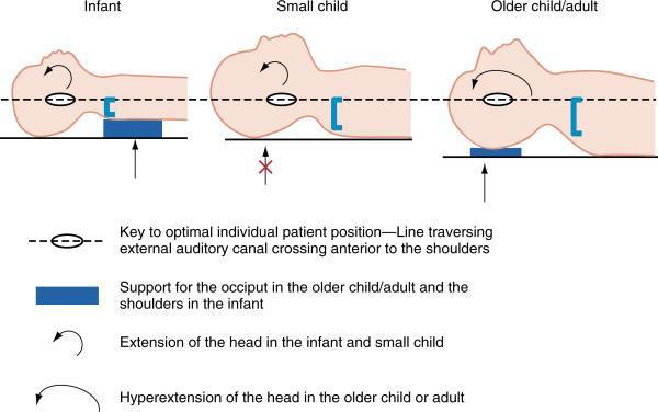 Anatomy Marx: Rosen's Emergency Medicine: Concepts and